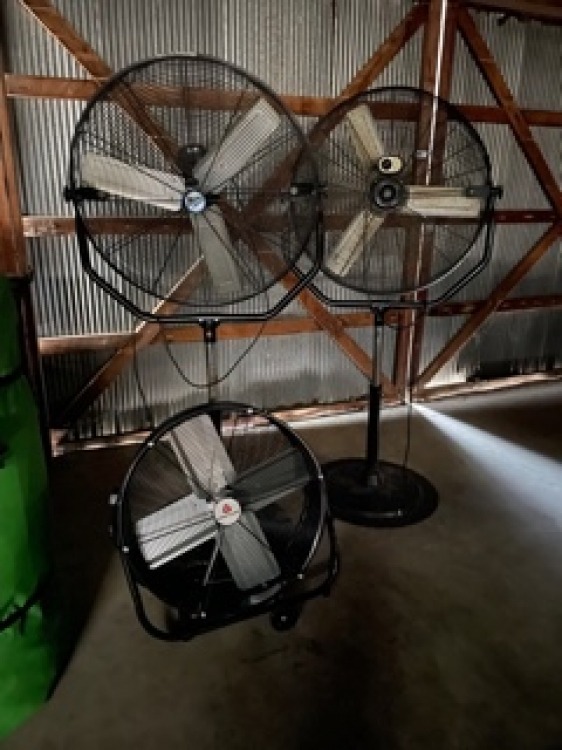 30 Round Pedestal Fan High Output w/tilt