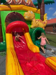 Dino Combo Dry (Wet add Option) & Game Package